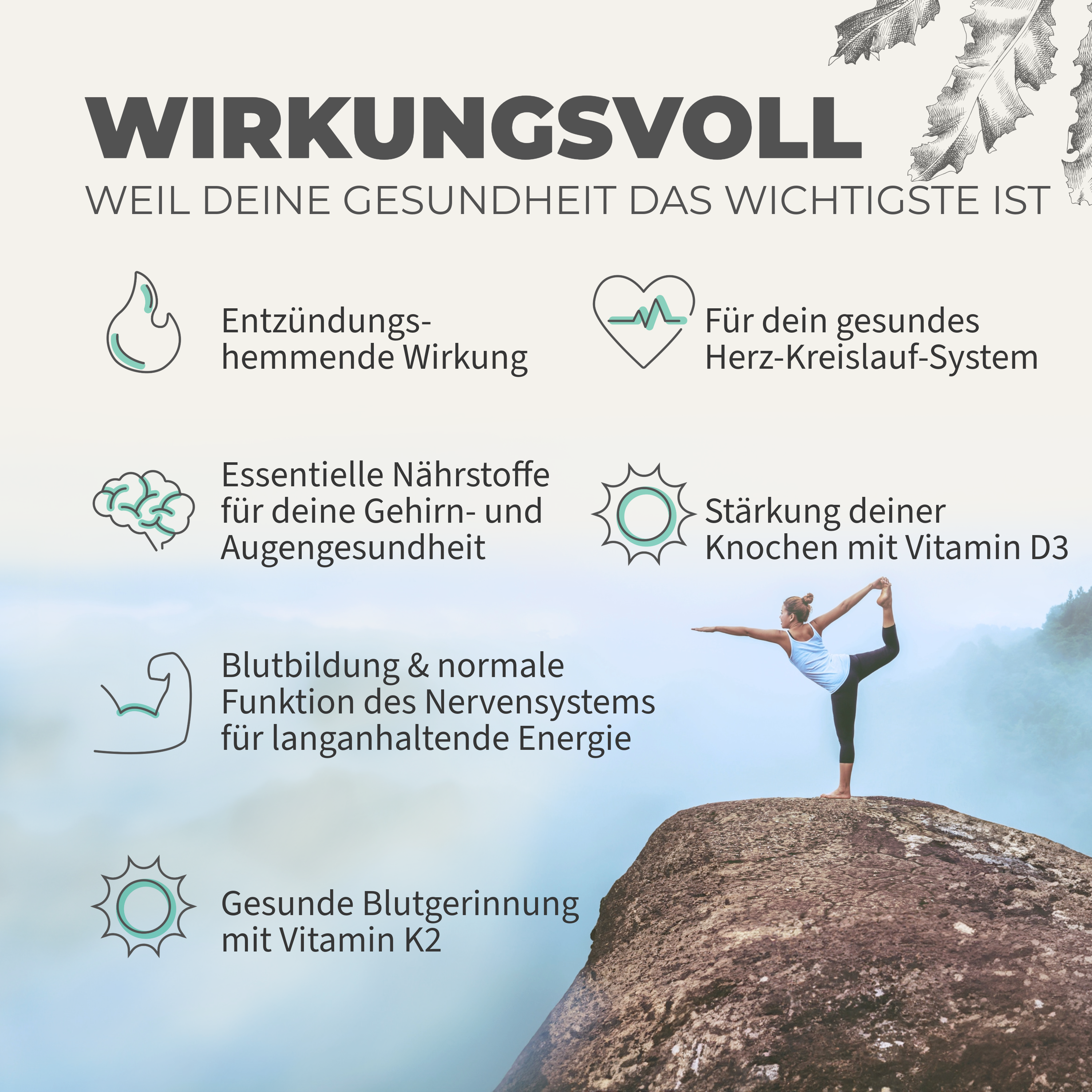 Daily Vegan Omega 3 Kapseln – veganes Algenöl mit DHA und EPA - Bild 3